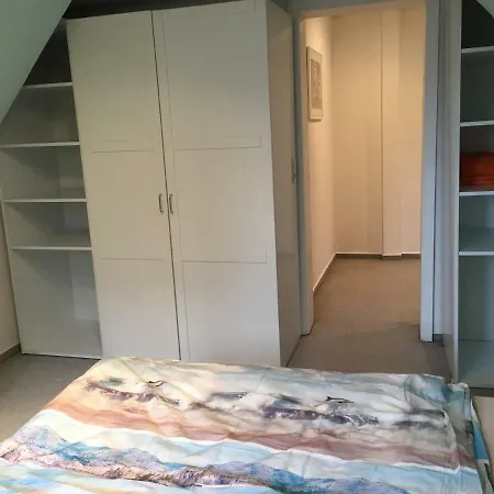 Harzsterne